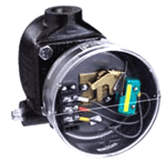 main_DW-Series-123-153.png